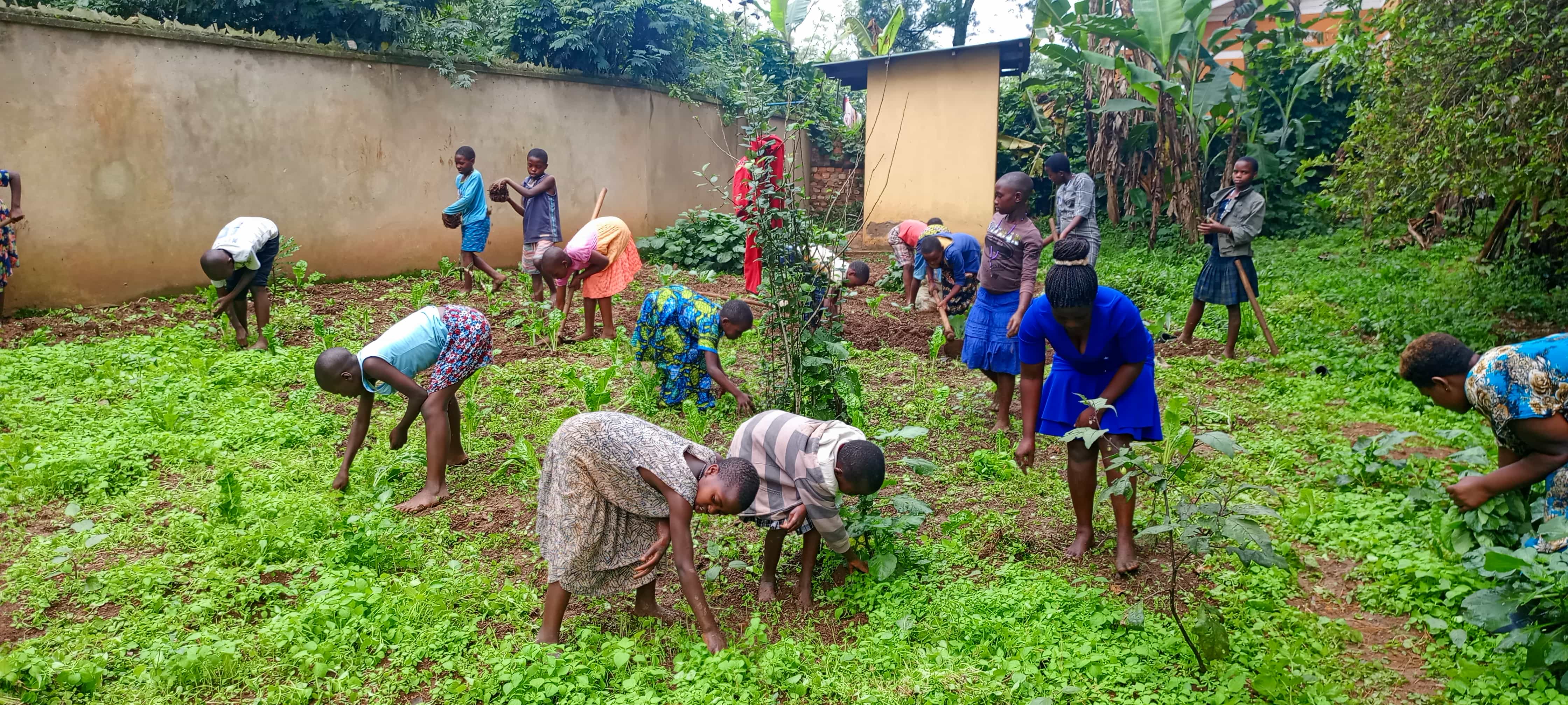 Farm to table nutrition